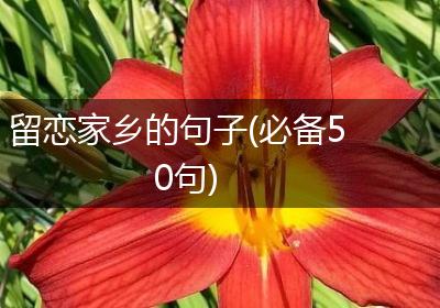 留恋家乡的句子(必备50句)
