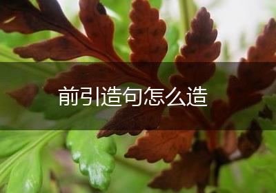 前引造句怎么造