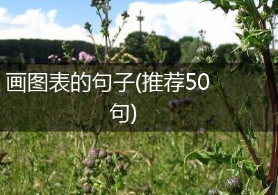 画图表的句子(推荐50句)