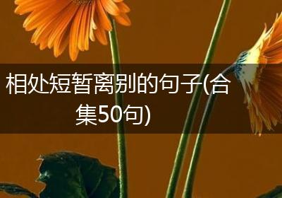 相处短暂离别的句子(合集50句)