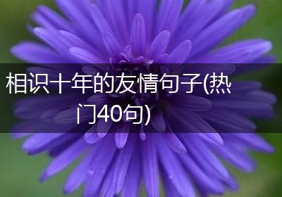 相识十年的友情句子(热门40句)