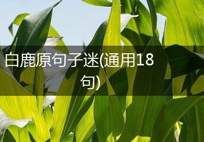 白鹿原句子迷(通用18句)