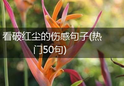 看破红尘的伤感句子(热门50句)