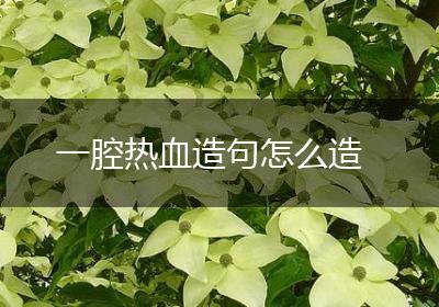 一腔热血造句怎么造