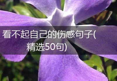 看不起自己的伤感句子(精选50句)