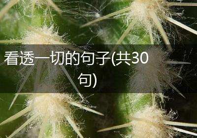 看透一切的句子(共30句)