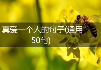 真爱一个人的句子(通用50句)