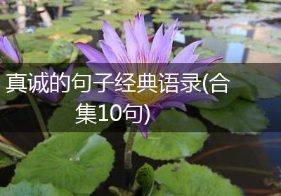 真诚的句子经典语录(合集10句)