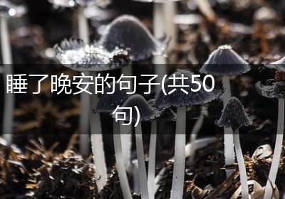 睡了晚安的句子(共50句)