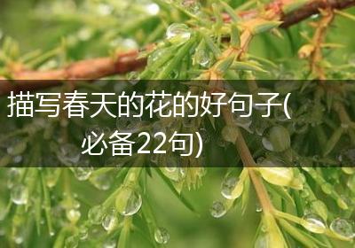 描写春天的花的好句子(必备22句)