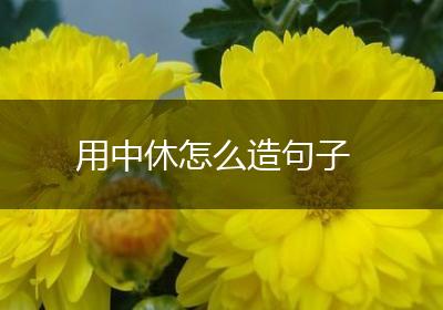 用中休怎么造句子