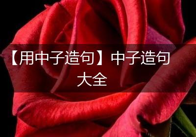 【用中子造句】中子造句大全