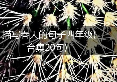 描写春天的句子四年级(合集20句)