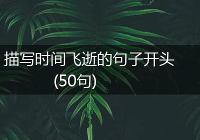 描写时间飞逝的句子开头(50句)