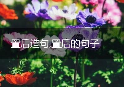 置后造句,置后的句子