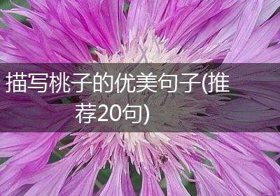 描写桃子的优美句子(推荐20句)