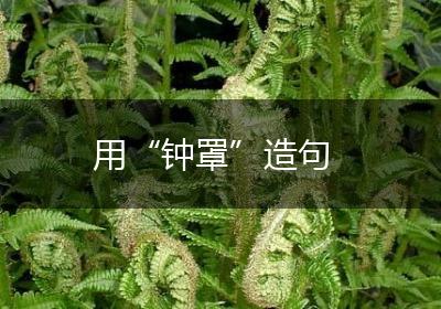 用“钟罩”造句