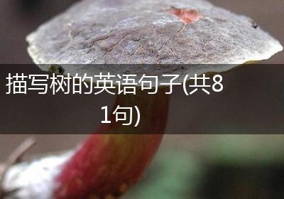 描写树的英语句子(共81句)