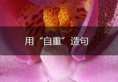 用“自重”造句