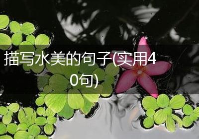 描写水美的句子(实用40句)