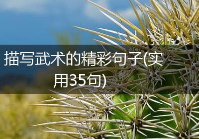 描写武术的精彩句子(实用35句)