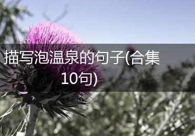 描写泡温泉的句子(合集10句)