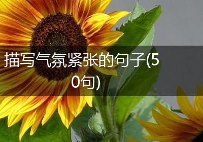 描写气氛紧张的句子(50句)