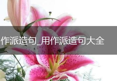 作派造句_用作派造句大全