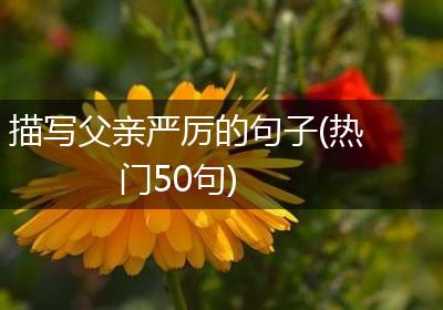 描写父亲严厉的句子(热门50句)