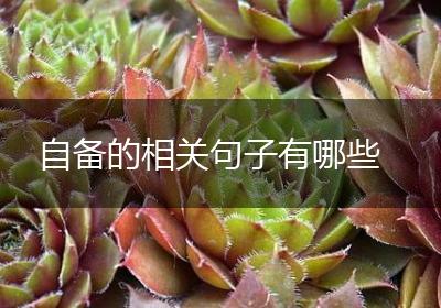 自备的相关句子有哪些