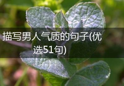 描写男人气质的句子(优选51句)