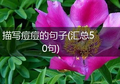 描写痘痘的句子(汇总50句)