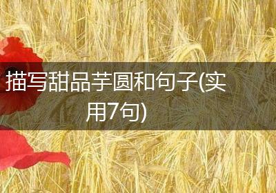 描写甜品芋圆和句子(实用7句)
