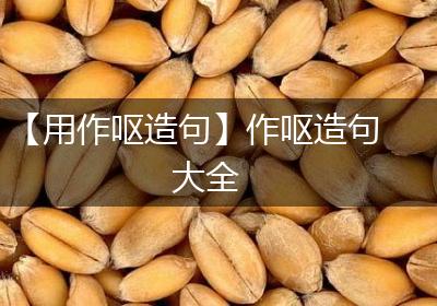 【用作呕造句】作呕造句大全