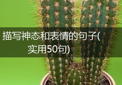 描写神态和表情的句子(实用50句)