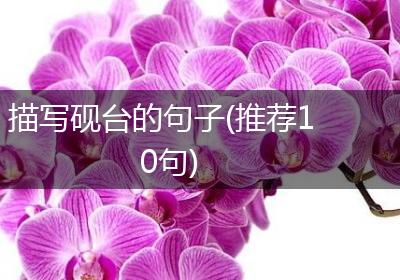 描写砚台的句子(推荐10句)