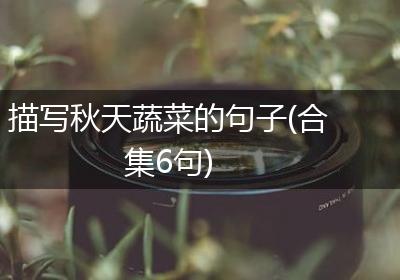 描写秋天蔬菜的句子(合集6句)
