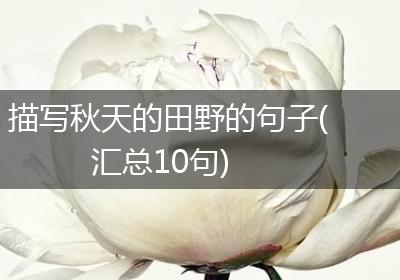 描写秋天的田野的句子(汇总10句)