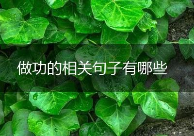 做功的相关句子有哪些