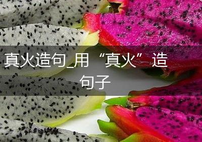 真火造句_用“真火”造句子