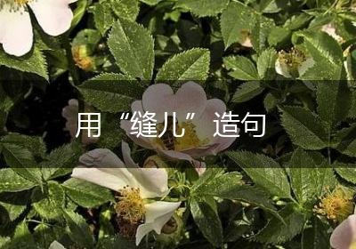 用“缝儿”造句