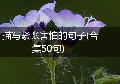 描写紧张害怕的句子(合集50句)