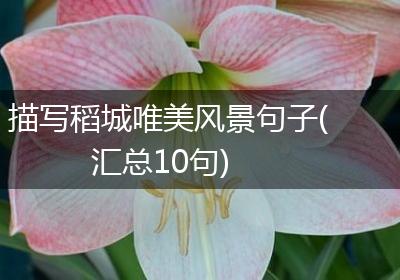 描写稻城唯美风景句子(汇总10句)