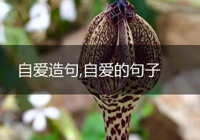 自爱造句,自爱的句子