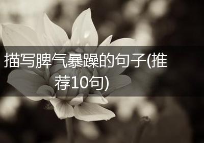 描写脾气暴躁的句子(推荐10句)