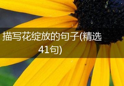 描写花绽放的句子(精选41句)