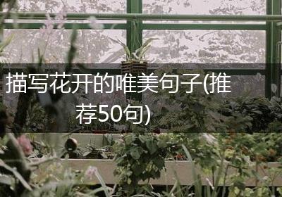 描写花开的唯美句子(推荐50句)