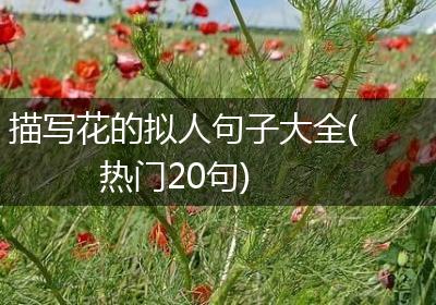 描写花的拟人句子大全(热门20句)