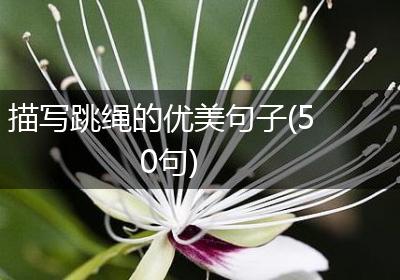 描写跳绳的优美句子(50句)