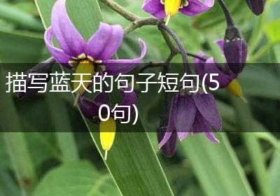 描写蓝天的句子短句(50句)